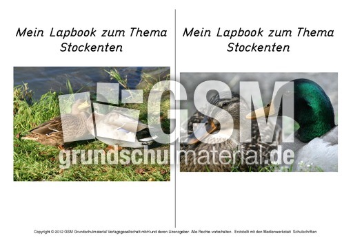 Titelseite-Stockente-3.pdf